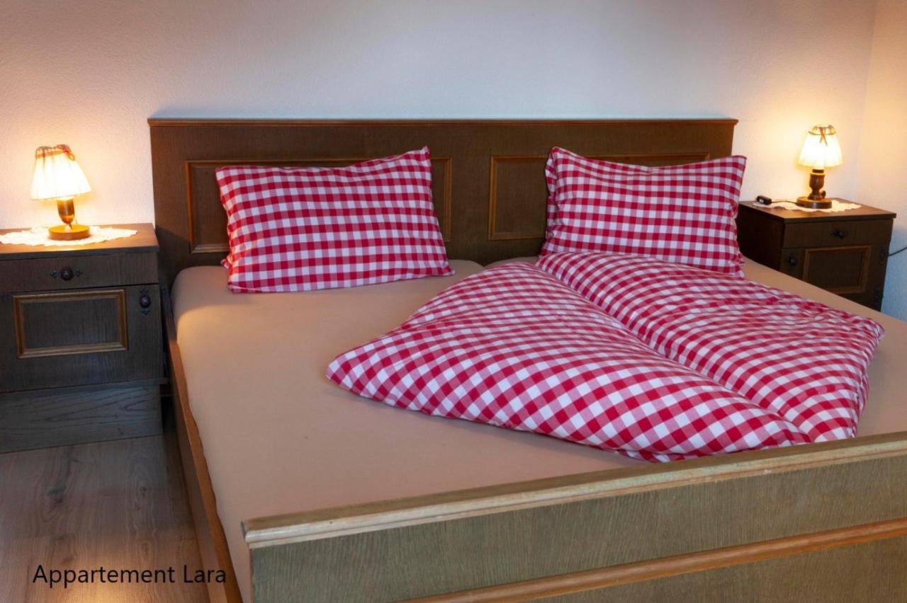 Appartement Lara & Lea Zell am Ziller Ngoại thất bức ảnh