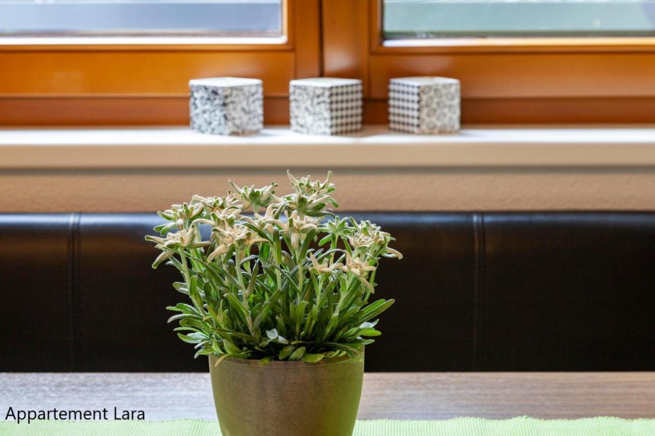 Appartement Lara & Lea Zell am Ziller Ngoại thất bức ảnh